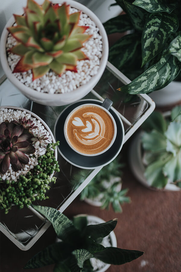 homepage lifestyle image