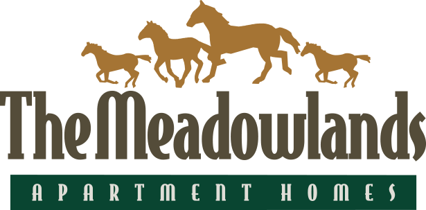 The Meadowlands